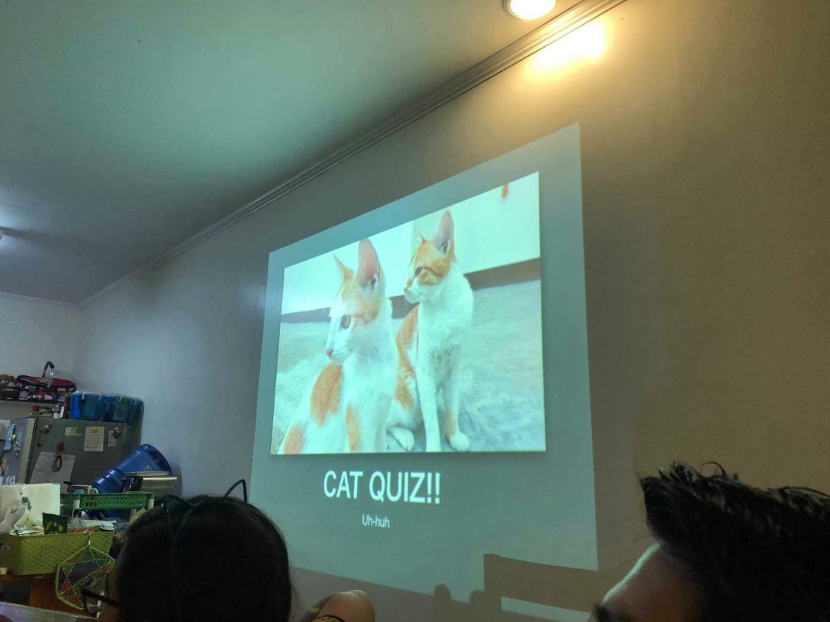 Cat Japanese Only At Uh Huh House Hostel Cebu Exterior foto